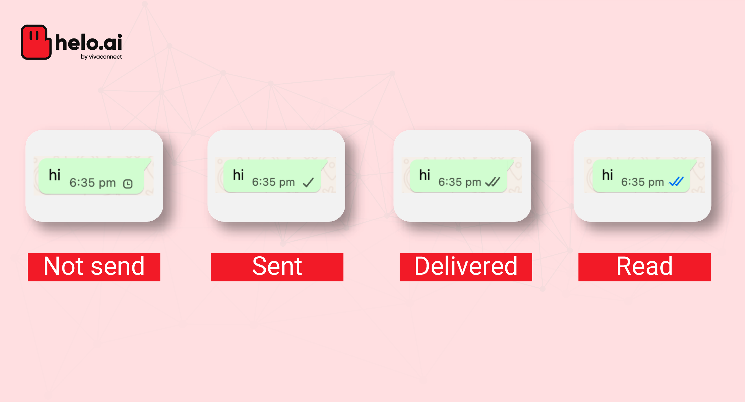 types of whatsapp blue tick